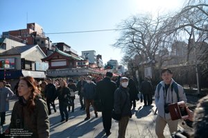 20180110114956_NIKON D7100.jpg